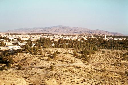 Gafsa with Oasis in Foreground