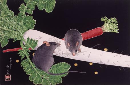 Mice, Radish, and Carrot