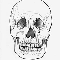 Human Skull Print