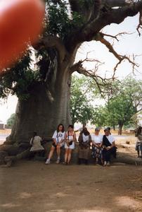 Group under large tree