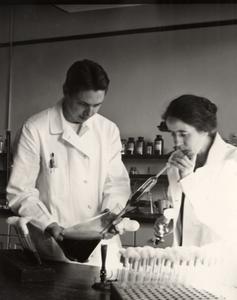 Bacteriology researchers