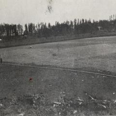 Cranberry marsh being laid out