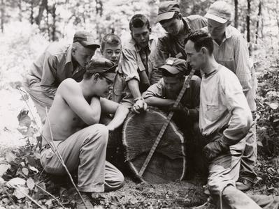 UW-Extension forestry education