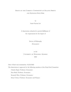 Essays on the Currency Composition of Balance Sheets and Exchange Rate Risk
