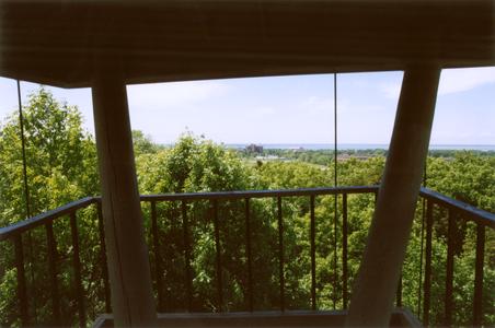 View from Cofrin Memorial Arboretum Tower