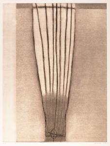 Tobacco Flower, from the series Dissection