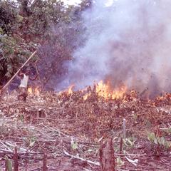 Burning Field to Prepare for Cultivation