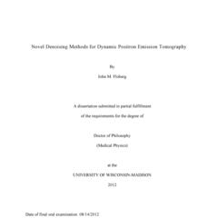 Novel Denoising Methods for Dynamic Positron Emission Tomography