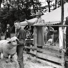 Showing a sheep at the 1954 Wisconsin Livestock Breeders Association Show