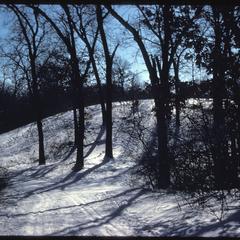 East Grady Knoll with ski tracks, Grady Tract, University of Wisconsin Arboretum