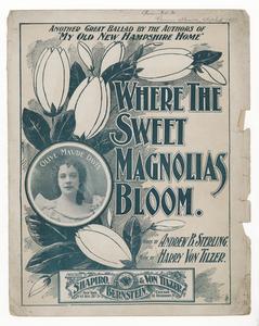 Where the sweet magnolias bloom