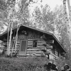 Cedar log cabin