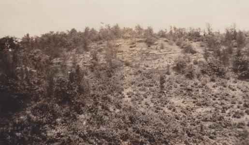 Sandstone mound