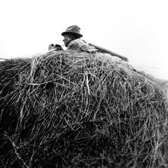 Aldo Leopold on haystack
