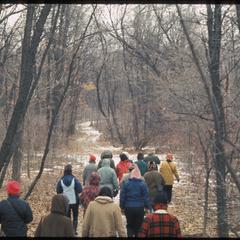 Guide training hike in Gallistel Woods, University of Wisconsin Arboretum