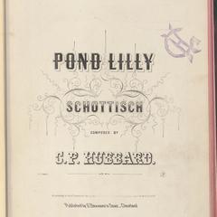 Pond lilly
