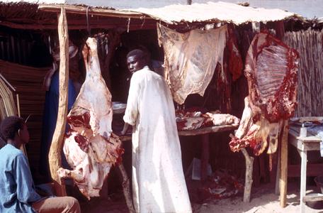 Butchershop in Touba