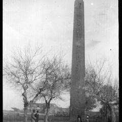 Obelisk at Heliopolis