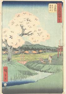 Yoshitsune's Cherry Tree and the Shrine to Noriyori at Ishiyakushi, no. 45 from the series Pictures of the Famous Places on the Fifty-three Stations (Vertical Tokaido)