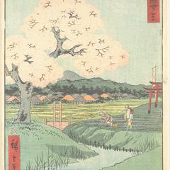 Yoshitsune's Cherry Tree and the Shrine to Noriyori at Ishiyakushi, no. 45 from the series Pictures of the Famous Places on the Fifty-three Stations (Vertical Tokaido)