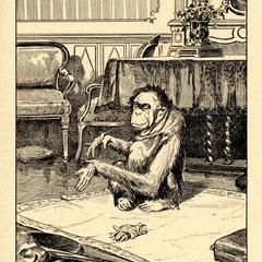 Female Orangutan Print