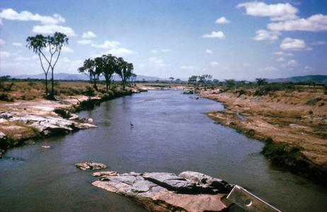 Tana River