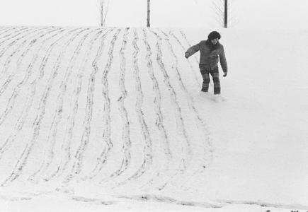 Student sliding down a snowy hill