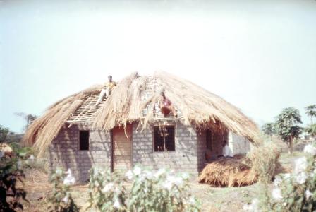 Thatching Roof on a New House in Kaputa Area