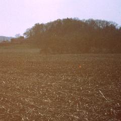 View of farm field in Osun