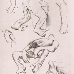Gorilla Anatomy Sketch