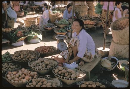 Morning market : fruits and vegetables