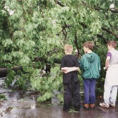 Mauston tornado