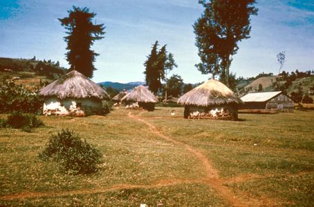 Kikuyu Houses in Nyeri Area