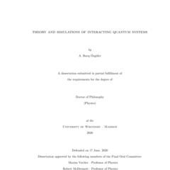 Theory and Simulations of Interacting Quantum Systems