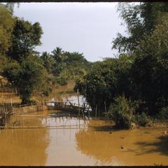 Village stream