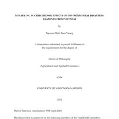 Measuring Socioeconomic Effects of Environmental Disasters: Examples from Vietnam