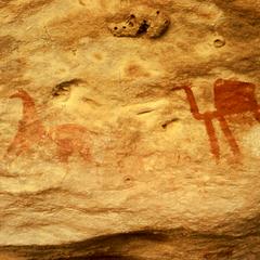 Petroglyph : Camel and Horse