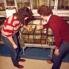 Two students examining specimens in a science lab
