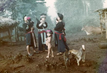 White Hmong villagers with bovine in Houa Khong Province