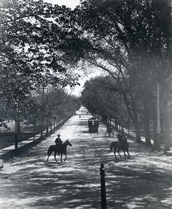 Horses and streetcars on State Street