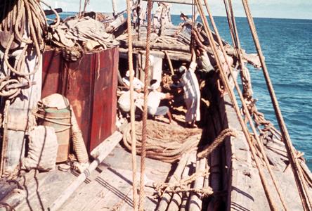 Riggings of a Dhow (Sailboat)