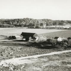Beine Farm