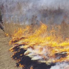 Prairie burn at UW-Parkside