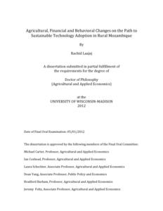 Agricultural, Financial and Behavioral Changes on the Path to Sustainable Technology Adoption in Rural Mozambique