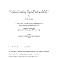 Agricultural, Financial and Behavioral Changes on the Path to Sustainable Technology Adoption in Rural Mozambique