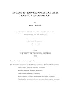 Essays in Environmental and Energy Economics