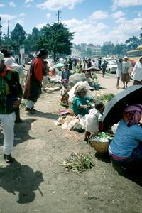 Produce Sellers on Roadside Leading to Addis Ababa