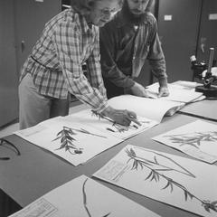 Gary Fewless showing information about herbarium