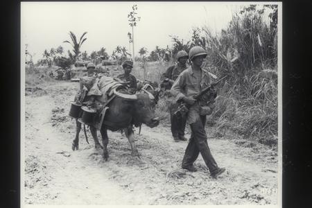 American soldiers and native boy bring equipment by means of a water buffalo, Leyte, 1944