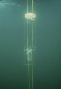 Sedimentation sampler underwater